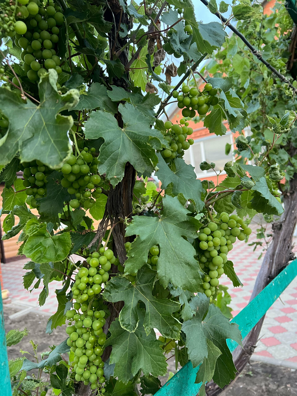 Гостевой дом Привал Кущевская