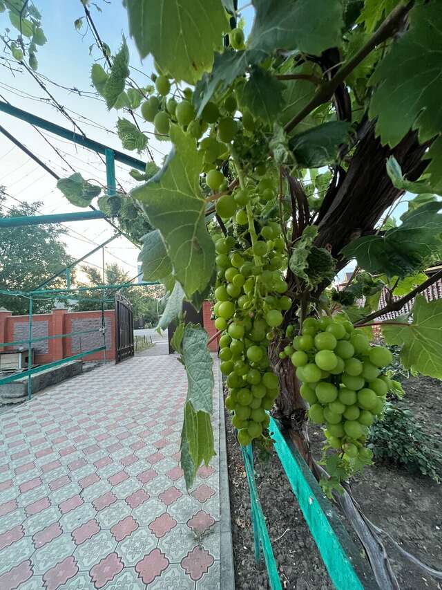 Гостевой дом Привал Кущевская-6